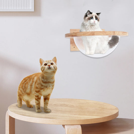 Space Capsule-style Transparent Cat Bed