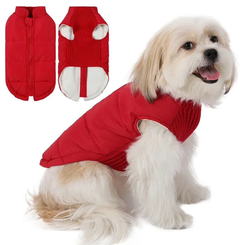 Dog Warm Cotton Coats Back Zipper Windproof for Small Medium Large Dogs Poodle French Bulldog Labrador Outfits