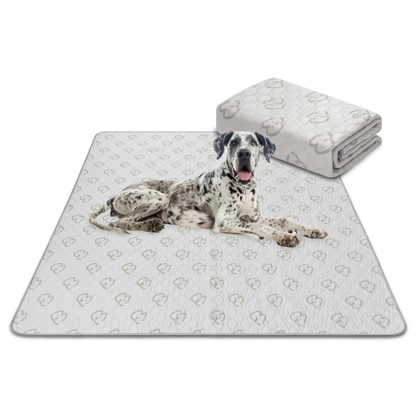 FXW Washable Pee Pads for Dogs, Puppy ,Super Absorbent for Crate, Training,