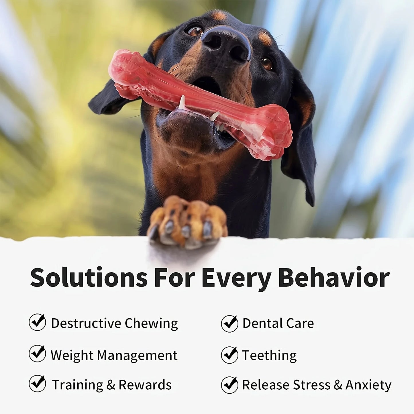 Durable dog chew for cleaning canine teeth