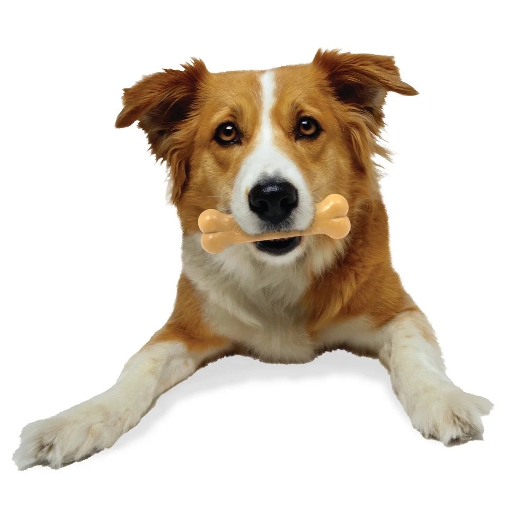 Durable Nylon Dog Chew Toy, Power Chew Bone, Peanut Butter Flavor, Aggressive Chewers Up to 35lbs