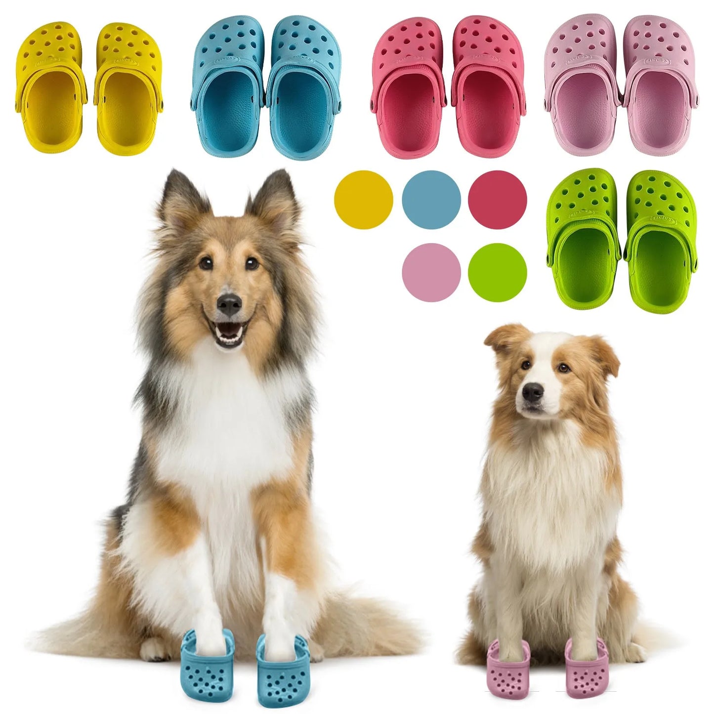 Cat And Dog Shoes Croc Style