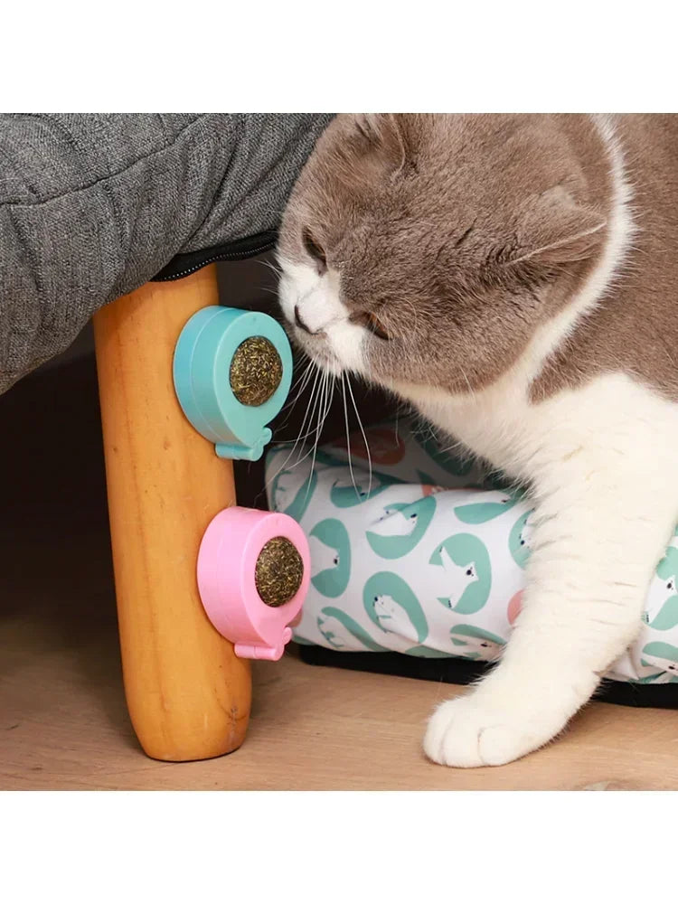 Catnip Wall Licking Ball Spherical Teeth Cleaning