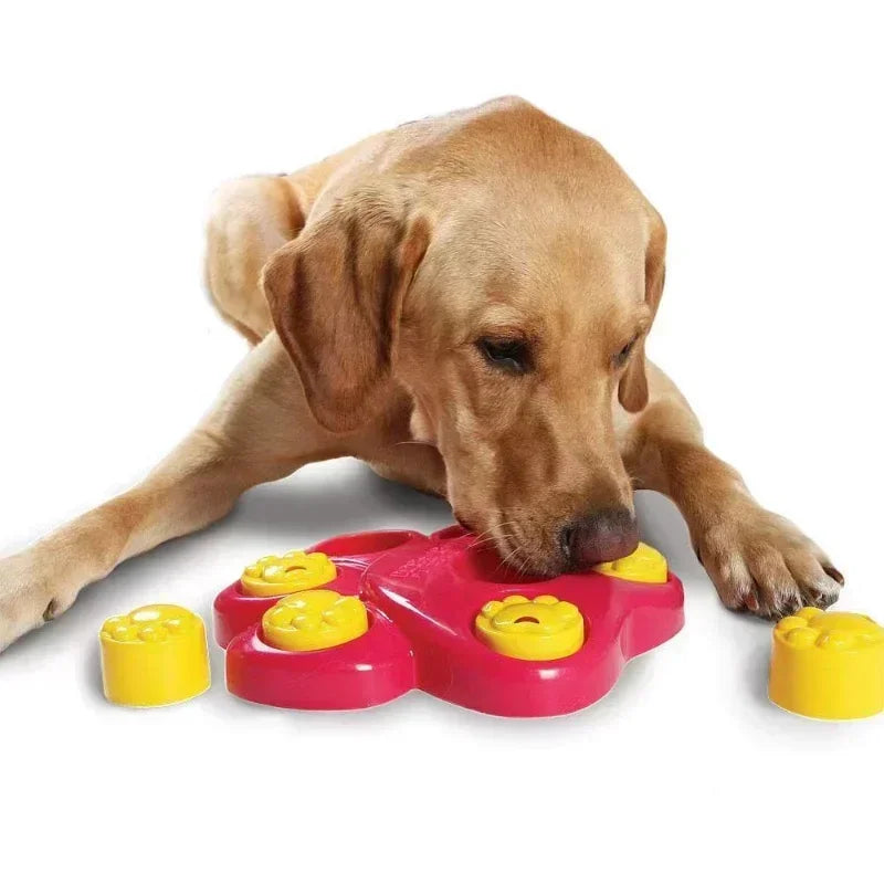 Plastic Educational Toy Anti Choke Bowl Funny Interactive Toys For Small Large Dogs
