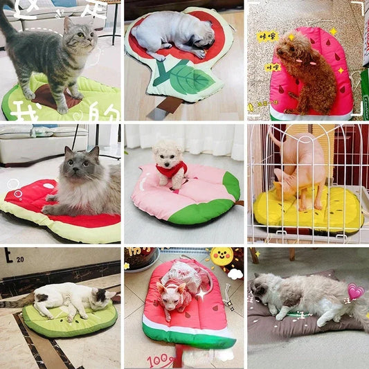 Cooling Summer Pad For Kittens or puppy Ice Pad