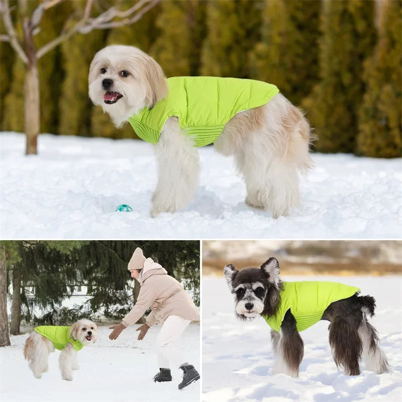 Dog Warm Cotton Coats Back Zipper Windproof for Small Medium Large Dogs Poodle French Bulldog Labrador Outfits