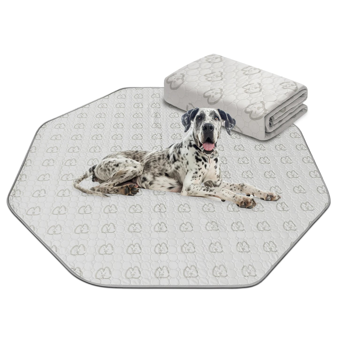 FXW Washable Pee Pads for Dogs, Puppy ,Super Absorbent for Crate, Training,