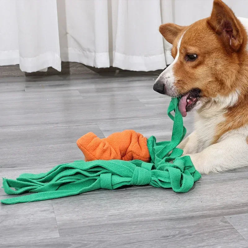 Dog Sniffing Toys for Small Dog, Slow Feeder, Pet Toy