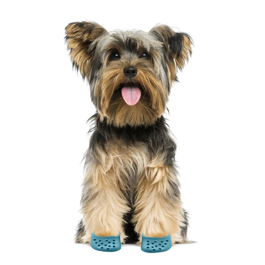 Cat And Dog Shoes Croc Style