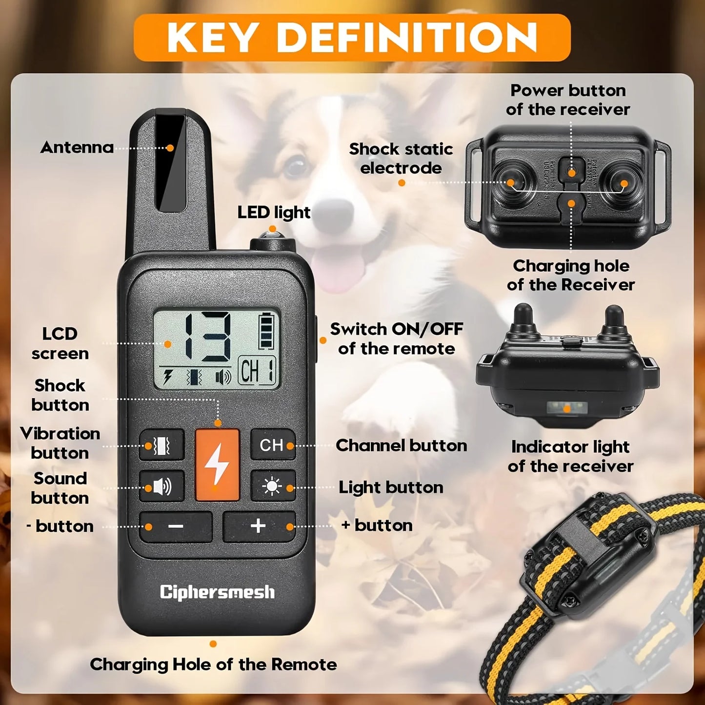 Anti Bark, Rechargeable Training Collar with Clicker