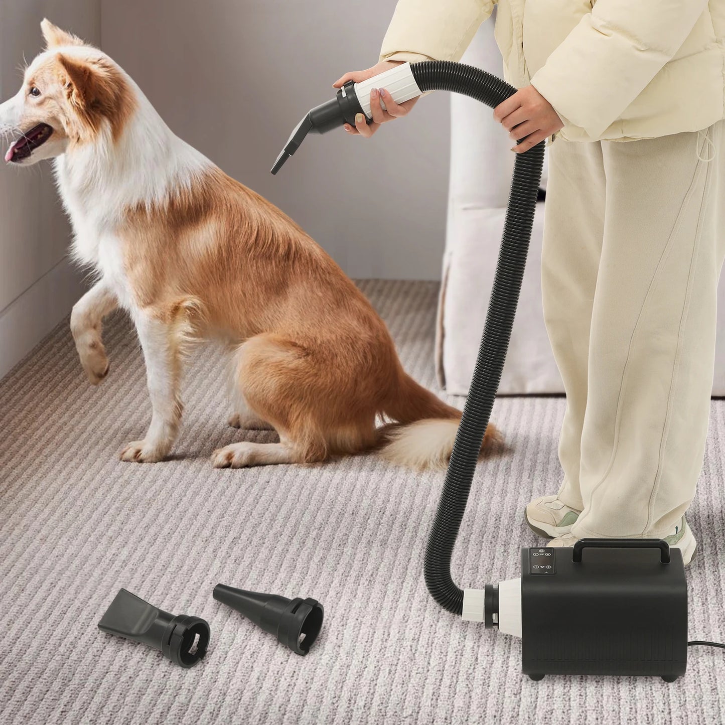 2100W Dog Grooming Blow Dryer With 9 Speed Adjustments (77-140℉) Led Display, 3 Nozzles For Dogs