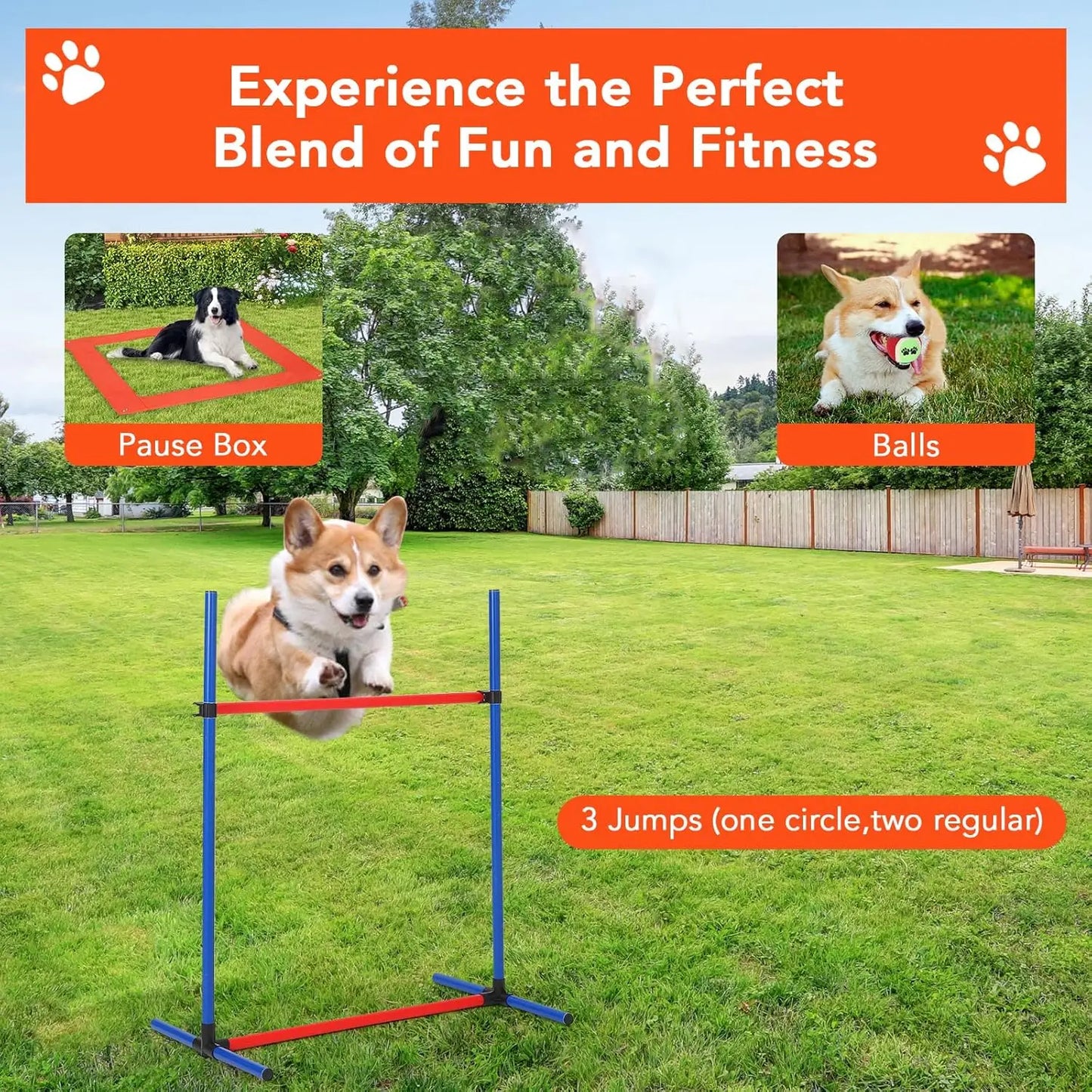 87 Pcs Dog Agile Training  Obstacle Course Kit