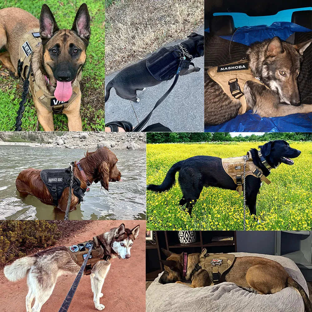 Large Dog Harness And Leash Set Training Walking Vest Medium Large Dogs
