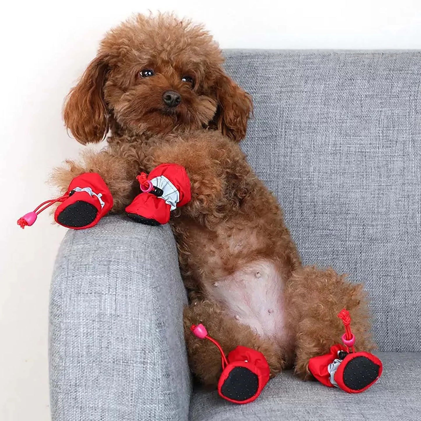 Breathable Dog Shoes That Don'T Fall Off