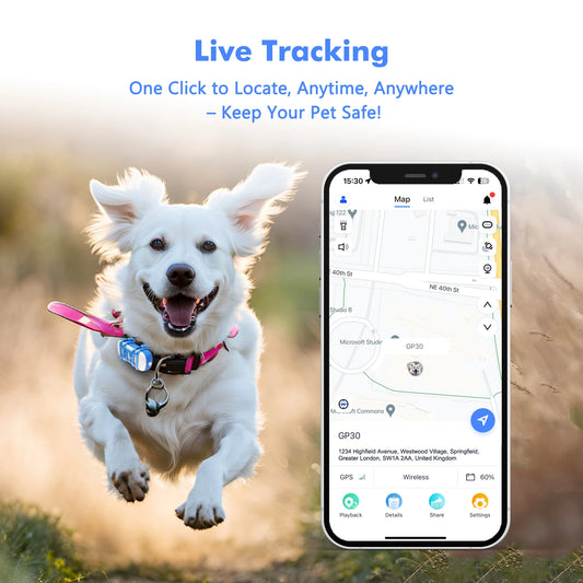 ‌4G Dog Cat GPS Tracker for Pets - Waterproof Smart Locator with App