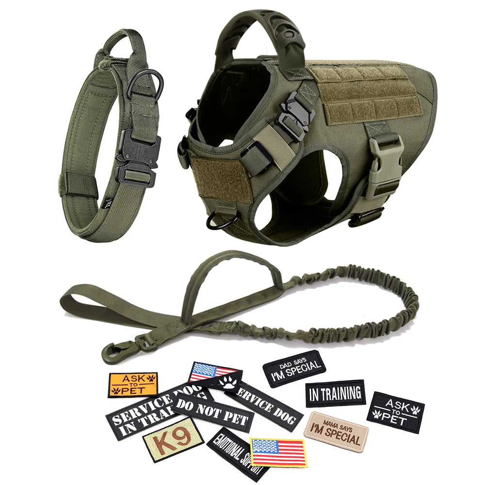 Dog Harness Leash Collar Patches Set